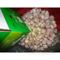 Size 5.0cm Normal White Garlic